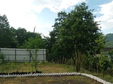 Bağ evlərinin kirayəsi: 40 kv. m, 2 otaqlı, Hovuzsuz, Kanalizasiya, İşıq, Qaz — 13