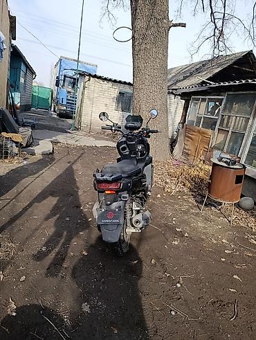 Скутеры: Скутер DongFang (маркировка на кожухе двигателя) Характеристики и — 7