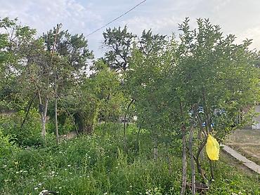 ысык куле: Продается уютный 2-этажный дом с без плодородным участком в живописном — 4