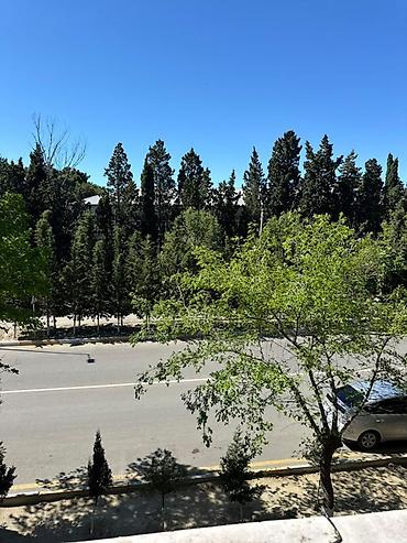 berde tap az: Satılır – Sumqayıt şəhəri, 1-ci məhəllə Şəhərin ən əlverişli və — 9