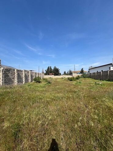 Torpaq sahələrinin satışı: 12 sot, Makler, Kupça (Çıxarış)