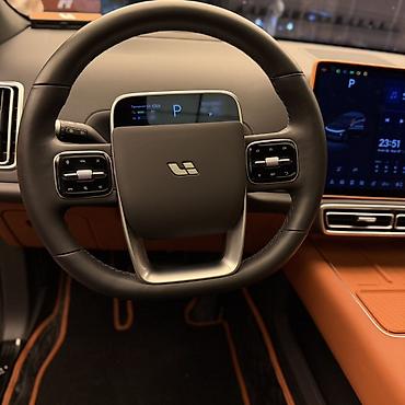 боковой грабил: Lixiang L7: 2025 г., 1.5 л, Автомат, Гибрид, Кроссовер — 10