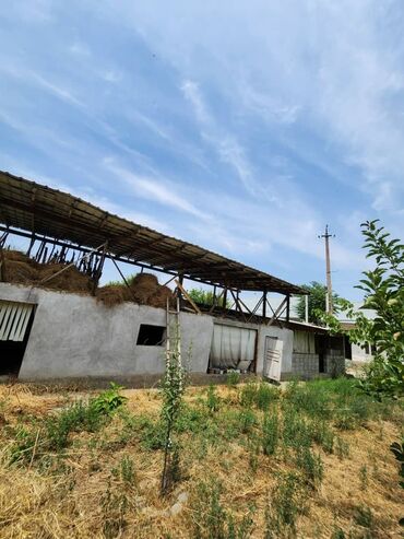 Продажа домов: Дом, 140 м², 5 комнат, Собственник, Косметический ремонт — 10