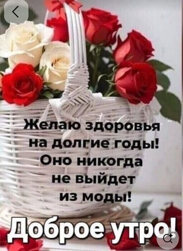 садовая мебель бу: Кийим салуучу шкафтар