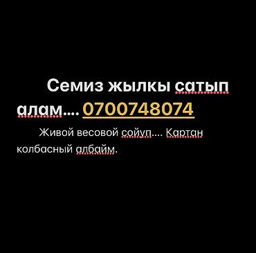 керме тоо: Жеке жак : Жылкылар, аттар, | Союуга, этке — 1