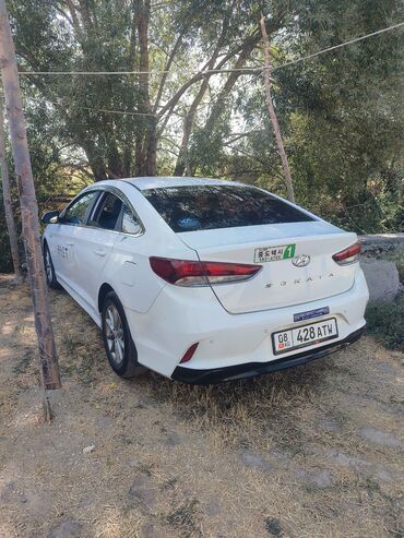 балансировочный вал камри 2.4: Hyundai Sonata: 2018 г., 2 л, Автомат, Газ, Седан