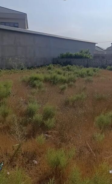 6 sot, Tikinti, Mülkiyyətçi, Kupça (Çıxarış)