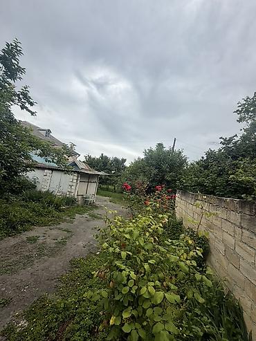 Torpaq sahələrinin satışı: 25 sot, Mülkiyyətçi, Kupça (Çıxarış) — 7