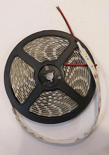arkopal cinije: VLAGOOTPORNA HLADNO BELA 5050 LED TRAKA 60 D/M SILIKONSKA | — 1