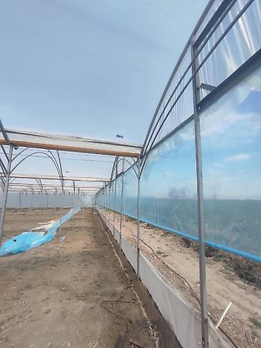 Теплицы: Тепличный комплекс каркасно-пленочного типа - Пролетная теплица с — 2