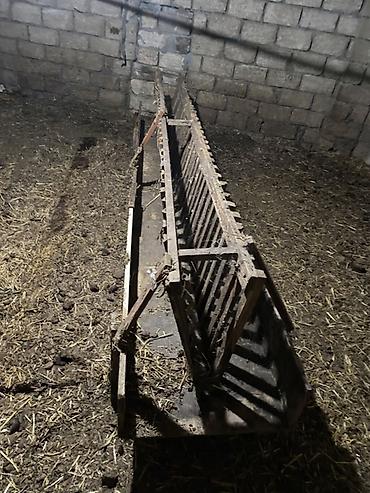 bildirçin yemi: Yem qabı, Yem üçün, Heyvanlar üçün — 1