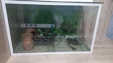 akvariumlar: Dördbucaq akvarium, Boş, 135 l, Ünvandan götürmə — 2