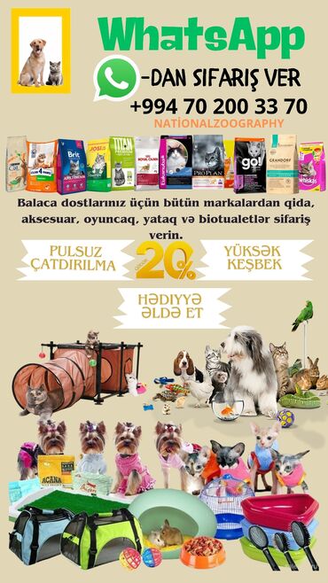 it paltar: N°1 ZOO mərkəzi itlər və pişiklər üçün quru və sulu yemlərin bütün