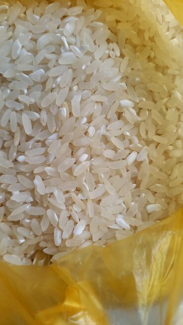 alcipan topdan satis: Təmizlənmiş, keyfiyyətli yumru ağ düyü topdan satışdadır. 🍚 Plov