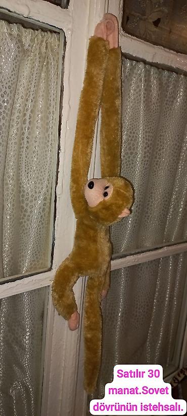 toy gulləri: Oyuncaqlar — 1