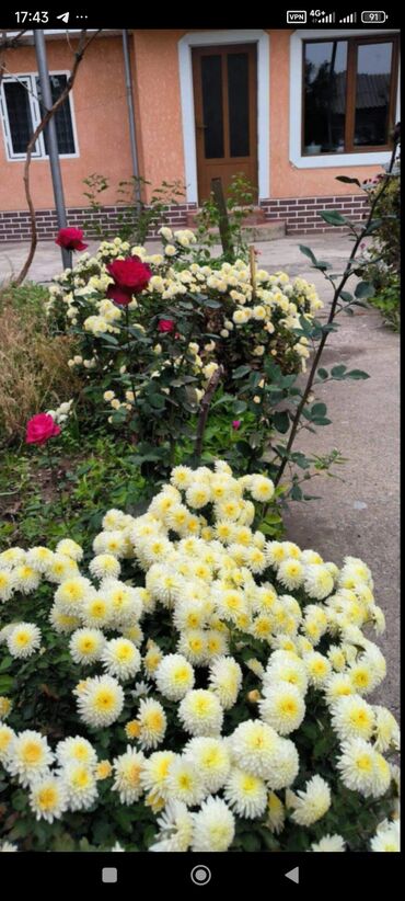 Продажа домов: Дом, 1441 м², 8 комнат — 22