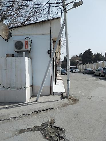 kira: İcarəyə mağazalar — 5