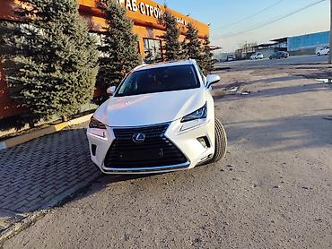 Lexus: Lexus NX: 2019 г., Вариатор, Гибрид, Кроссовер — 2