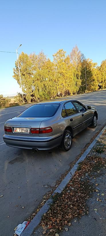 хонла акорд: Honda Accord: 1996 г., 1.8 л, Механика — 4