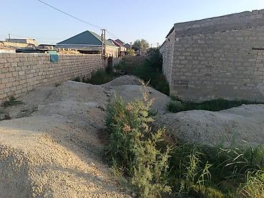 gen: Biznes üçün, Barter mümkündür, Kupça (Çıxarış) — 4
