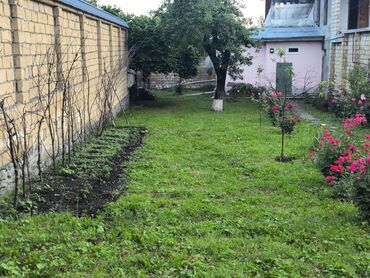 Torpaq sahələrinin satışı: 6 sot, Mülkiyyətçi, Kupça (Çıxarış) — 4