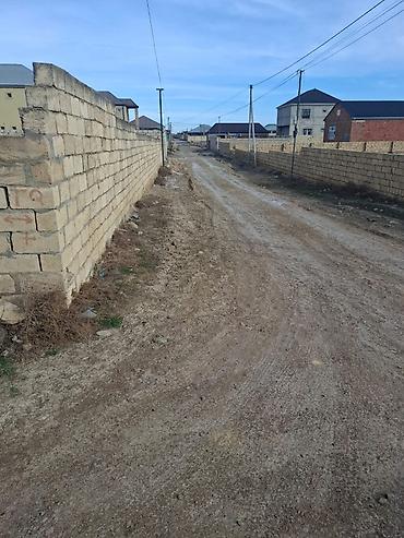 Torpaq sahələrinin satışı: 3 sot, Tikinti, Mülkiyyətçi, Kupça (Çıxarış) -da lalafo.az — 8 Torpaq sahələrinin satışı: 3 sot, Tikinti, Mülkiyyətçi, Kupça (Çıxarış) — 8