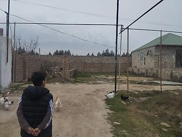 ramanada: 2 sot, Tikinti, Maklerlər narahat etməsin, Kupça (Çıxarış) — 4