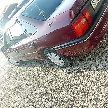 opel astra f: Opel Vectra: 1994 г., 1.6 л, Механика, Бензин, Седан — 3