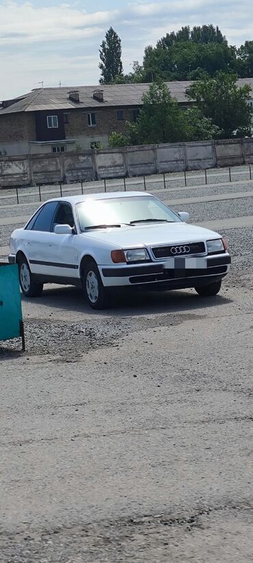 Audi: Audi 100: 1994 г., 2.6 л, Механика, Газ, Седан