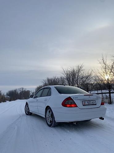 Mercedes-Benz: Mercedes-Benz E-Class: 2008 г., 1.8 л, Автомат, Газ, Седан — 1