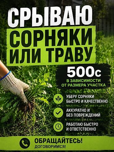 Уборка территории, Уборка двора и сада