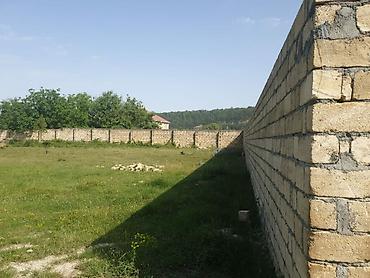 Torpaq sahələrinin satışı: Tikinti — 15