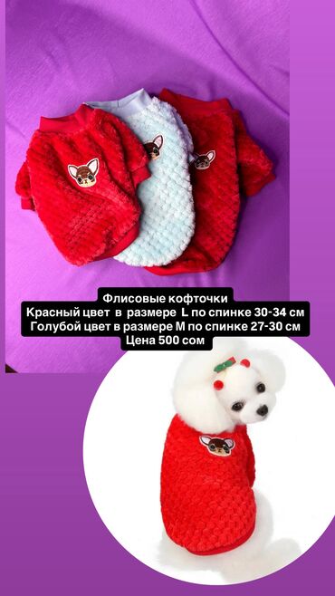 ошейник для кошек: Одежда для кошек и собак. Все НОВОЕ РАЗМЕР И ЦЕНА УКАЗАНЫ НА ФОТО