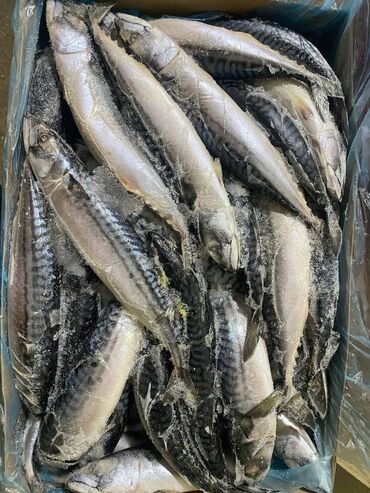 Рыба и морепродукты: Замороженный, До 1 кг, Бесплатная доставка, Платная доставка, Самовывоз — 11