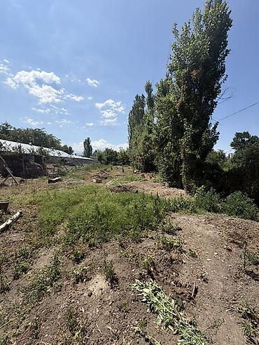 продю: 📍 В Гавриловке продается дом на участке 17 соток, 65 кв.м. 🏡Дом — 6