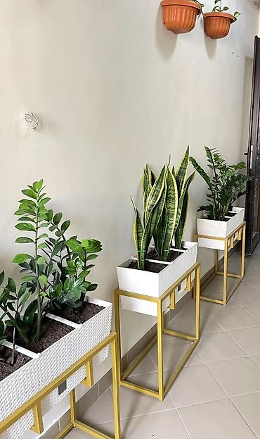 Долгосрочная аренда квартир: 2 комнаты, С мебелью полностью at lalafo.kg — 9 Долгосрочная аренда квартир: 2 комнаты, С мебелью полностью — 9