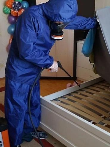 Дезинфекция, дезинсекция: Дезинфекция, дезинсекция, | Клопы, Блохи, Тараканы, | Транспорт, Офисы, Квартиры — 7
