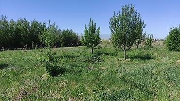 Продажа коттеджей и домов: 📢Срочно! срочно! Уй сатылат 173м² Арашан (Эски аты"Шиверник") at lalafo.kg — 4 Продажа коттеджей и домов: 📢Срочно! срочно! Уй сатылат 173м² Арашан (Эски аты"Шиверник") — 4