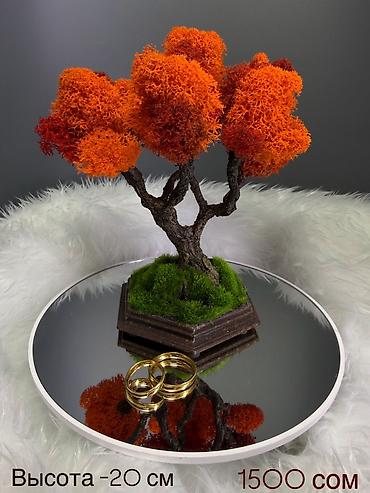 Декоративные цветы: Бонсай ручной работы из натурального стабилизированного мха от 1500 — 52