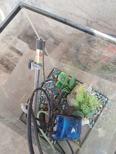 свежемороженая рыба: Аквариум на сколько литров не знаю совсеми декорации лампой айратор за