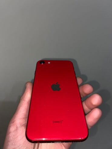 Apple iPhone: IPhone SE 2020, Новый, 64 ГБ, Красный, Чехол, Коробка, 77 %