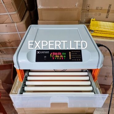 Digər quşlar: Smart-rejimli inkubatorlar satılır. Aparatlar tam olaraq avtomat, və — 13