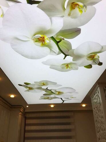 Натяжной потолок: Натяжной потолок Глянцевое, Матовое, 3D потолки — 23