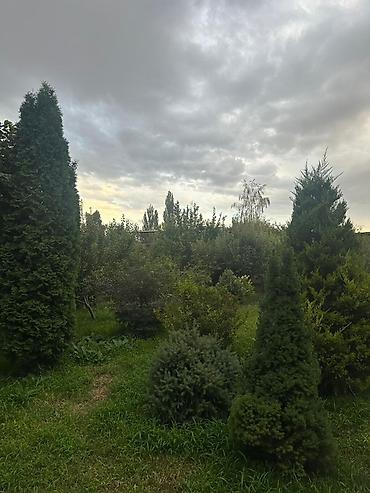 слив котедж: 4 комнаты, 20 м², 20 соток, Бишкек, Аламудун с. Собственник — 3