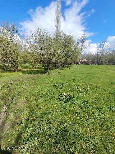 Torpaq sahələrinin satışı: Azərbaycanın ən gözəl guşələrindən biri olan Oğuz rayonu Xaçmaz — 7