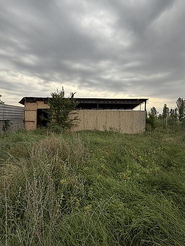 продать купить: 6 соток, Для строительства, Красная книга, Договор купли-продажи — 6