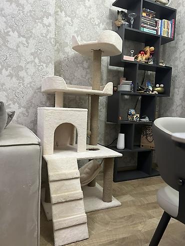 pișik: Pişik üçün çoxfunksiyalı oyun və dincəlmə kompleksi - Rəng: krem/bej — 1
