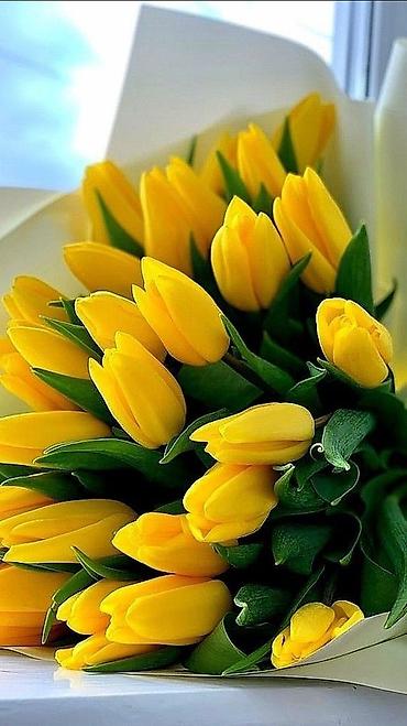 Букеты из живых цветов: Букеты из тюльпанов - Авторские композиции из свежесрезанных — 5