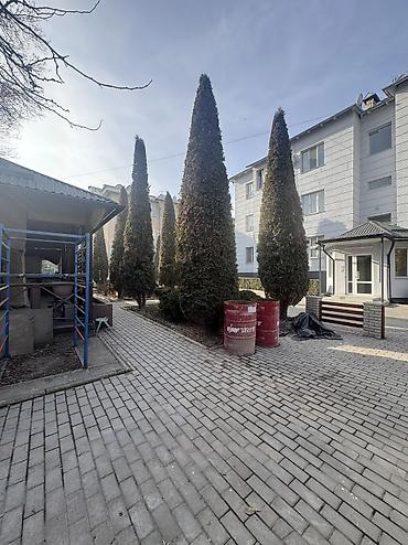 Продажа квартир: 4 комнаты, 163 м², Элитка, 2 этаж, Евроремонт — 3