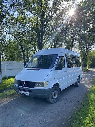 Mercedes-Benz Спринтер: 1999 г., 2.9 л, Механика, Дизель, Бус